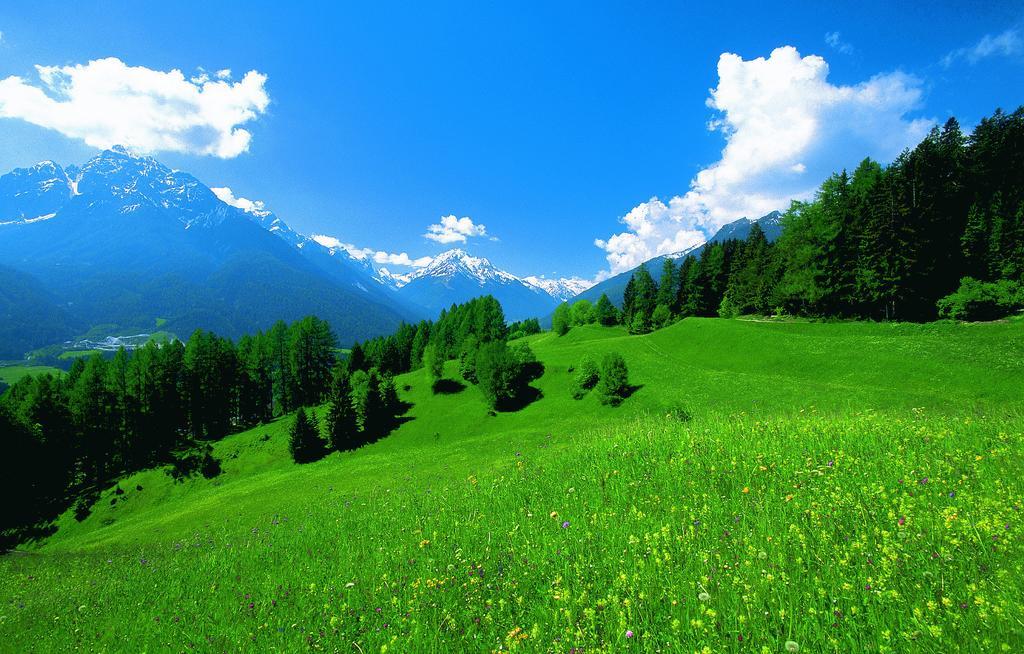 Evashome Neustift im Stubaital Exterior photo